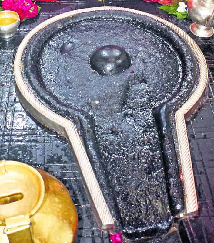 baidyanath_dham_shivling